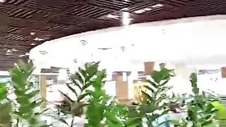 detras de las macetas