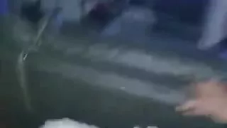 Chocolate babe having sex with her hubby