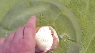 Amateursex, Sperma, Schwuler Sex, Handarbeit, Masturbation, Kleiner Schwanz