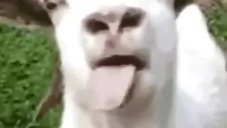 pantalones ajustados