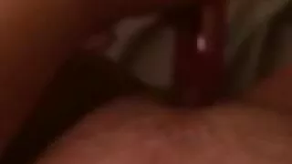 Playing with the rabbit