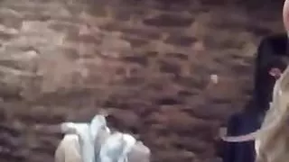 Langhaariger weißer Abschaum schluckt großen schwarzen Schwanz