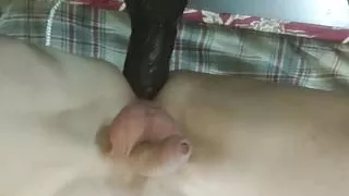 Pik-Dame Sissy Teaser