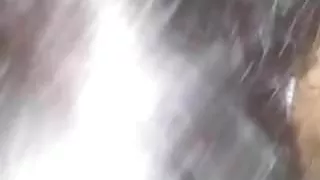 Cleveland booty 41 - D 4