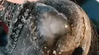 Amateur, Sperme, Gay, Branlette, Masturbation, Petite Queue