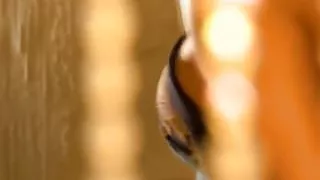 Pretty Indian Babe Being Sexy