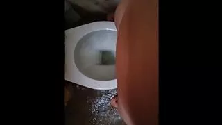 Girls can't pee up a Wall