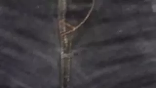 Denim, Netzstrümpfe und Seidenstreifen im Freien