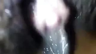 Ebony MILF pussy licked t orgasm