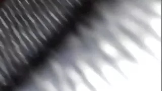 Anal lesbian Tasha finish shot