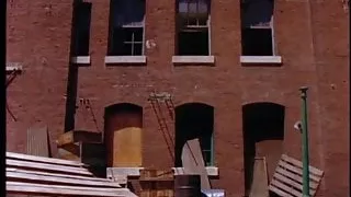 Playboy Wet & Wild III