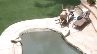 Alison Tyler - Poolside Banging - Drone Hunter