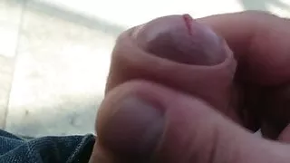 Schnell am Bahnsteig den Schwanz gewichst