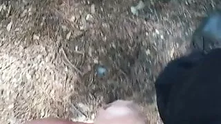 a walk in the woods 1