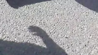 big ass old woman on the street