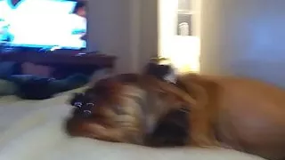 Tweaker both analysis beads