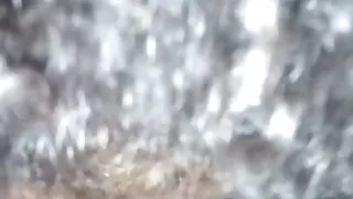 Canadian made to suck