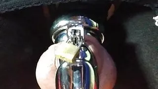 Fucking Asshole Dildo Cock Chastity
