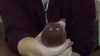 5 star. Snowbunny miliking bbc