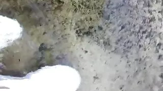 Brand new Reebok princess