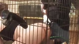 Hardcore BBC Fuck For Wifey