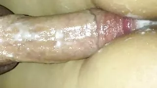 Cream pie and cumshot