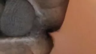 Phoenix doggie style