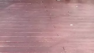 Reife Füße in Flip Flops