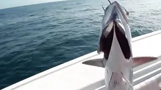 Adalisa - Motion of the Ocea Teen wird auf einem Boot gefickt