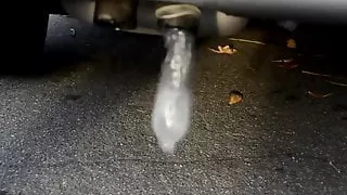 travis car this weekend