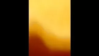 Plump Wife Riding Dick in Reverse