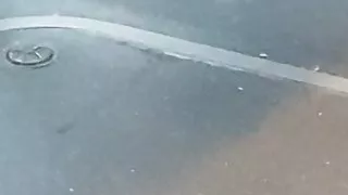 Mother n daughter feet