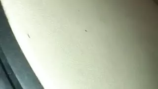 Super fun in the car on side of the road