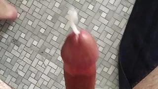 Zaad, Dik, Homoseksueel