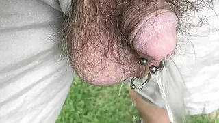 pierced cock and ball,  pissing outdoors