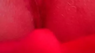 Dildo in meiner Fotze