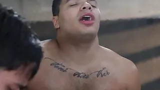 Aspen and Griffin Barrows and Kaden Alexander - Star Wars 8