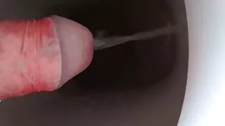 Toilet piss