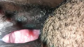 I love eating hairy pussy!!