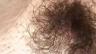 Hairy pussy