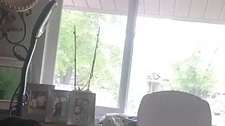 Clean up after Brazilian