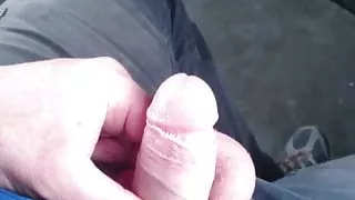 Im Bus mit dem Schwanz gespielt