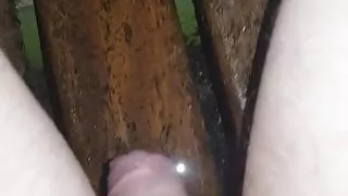 First time peeing on a bench in a park