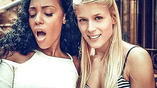 Sweet Cat sits on Noe Milk's face