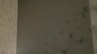 lick my cum of my glass table