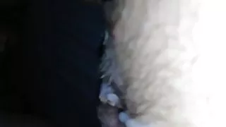 Creampie all over my pussy