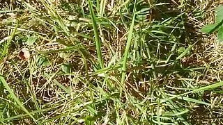 Wanking in the woods