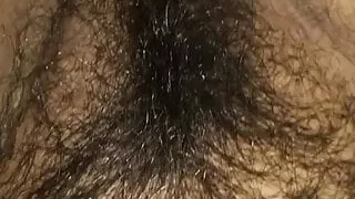 Hairy Pussy