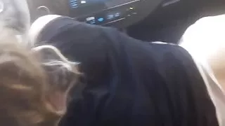 Turkish blowjob in car