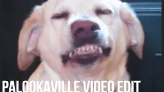 Drake - Nice For What (pmv)